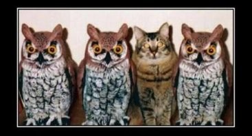 &nbsp;Намешалось&nbsp;