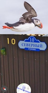 На общую тему&nbsp;