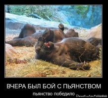 «Сейчас отхожу»: спортивный журналист приехал в Тюмень освещать соревнования по биатлону и ушёл в 5-дневный запой