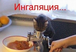 Не ищите здесь смысл. Здесь в основном маразм