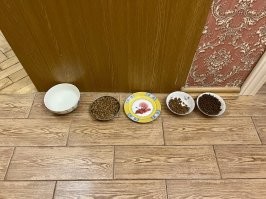 а просто кормить  не пробовали?