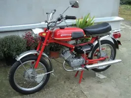 Двухскоростные "Верховина" и "Карпаты", в середине 80-х мне снились ночами! Родоков почти уломал купить на дачу, под поручительство и присмотр старшего брата...Но в соседней деревне грузовик сбил паренька на "Риге", наглухо! Вопрос отпал категорически и навсегда!