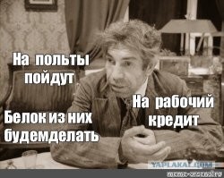 "Это те же иждивенцы": в Госдуме предложили выплачивать пенсионерам пособие по уходу за домашними питомцами
