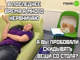 Скрины из соцсетей