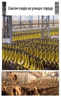 Скрины из соцсетей