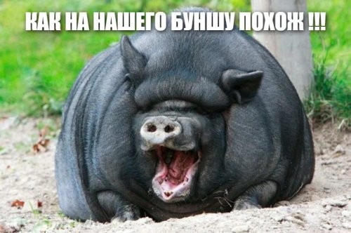 Солянка от 19.03.2025