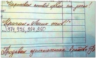 В российских школах с нового учебного года введут оценки за поведение