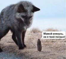 Фото настроение