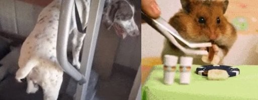 Это я в тренажерном зале и, опять же, я за столом!