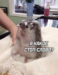 Фанат не пережил БДСМ сеанс с любимой порнозвездой за 924 тыс. рублей