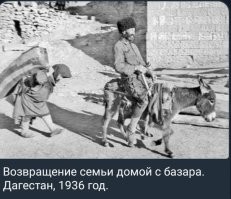 Секрет кавказского долголетия давно известен.