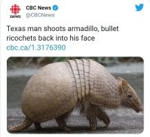 Возможно, автор имел в виду эту новость из США...