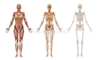 Не ищите здесь смысл. Здесь в основном маразм