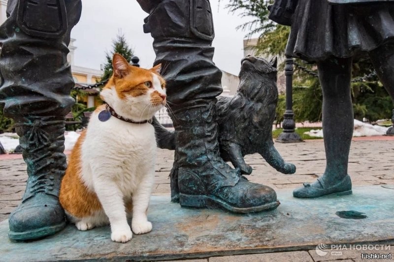 Да да, помню помню... Я дочь офицера, здесь не всё так однозначно...

Илон Маск сообщил, USAID потратили почти три с половиной миллиарда долларов на негативные посты про Крым.

Но самое главное потрясающая эффективность этих постов. Инвестиция столетия прям.

Весело было над этими убогими издеваться, особенно с мостиком