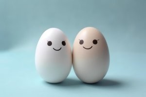 Аппарат для приготовления яичницы