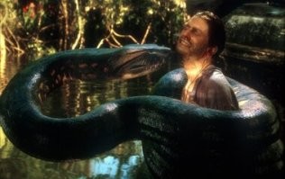 Тем же вечером...