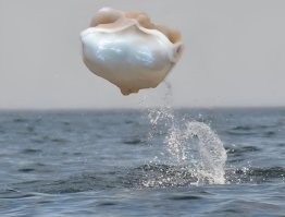 Намешалось&nbsp;