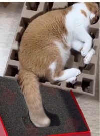 Домик с пристройкой.