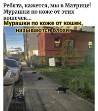 Удивительно редкие вещицы, которые крайне сложно встретить в жизни