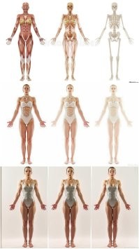 Не ищите здесь смысл. Здесь в основном маразм