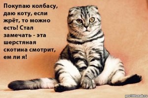 Минутный сеанс карательной кулинарии