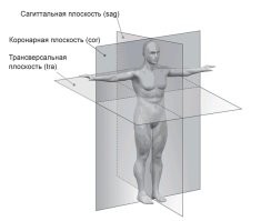 Смешные картинки