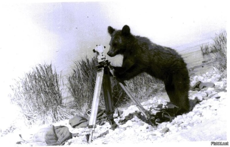 БАМ