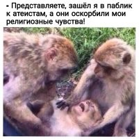 «Начать нужно с административного наказания»: в Госдуме разработают закон об искажениях религиозной символики