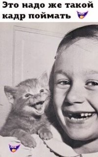 Миска улыбатора