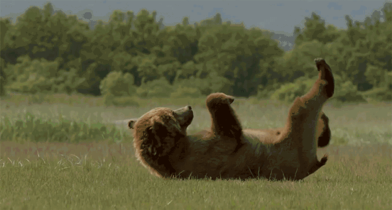 Солянка от 24.03.2025