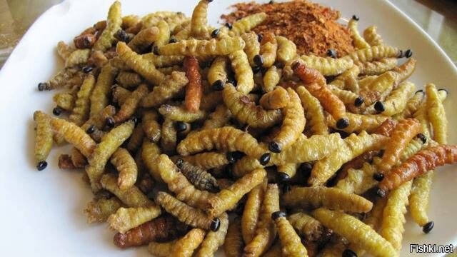 Тоже похоже...