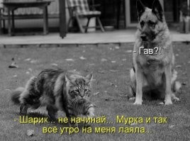 &nbsp;Намешалось&nbsp;