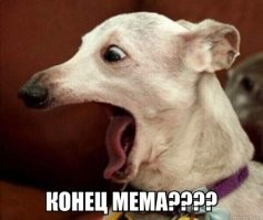 Скрины из соцсетей