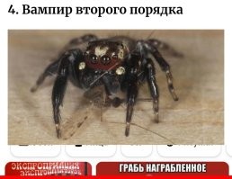 10 интересных фактов из разных областей знаний, которые помогут расширить кругозор