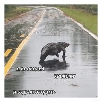 Жестокая драка между аллигатором и крокодилом попала на видео