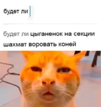 Две женщины избили участкового