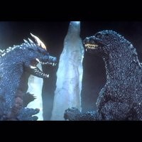 Жестокая драка между аллигатором и крокодилом попала на видео