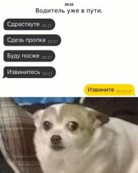 Не ищите здесь смысл. Здесь в основном маразм