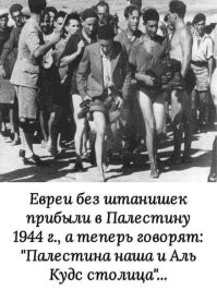 Пустили во время второй мировой войны. А раньше да. И эти твари считают, что это их земли