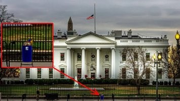 Нашёлся пояс великого философа, забытый Зеленским в Белом доме.