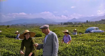 Товарищ Саахов?