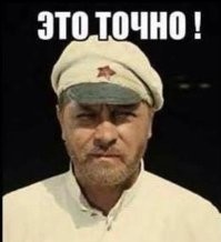 Рысь запрыгнула в коробку
