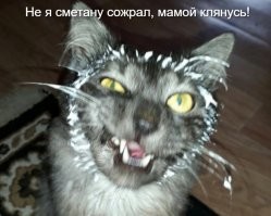 Это точно не он!