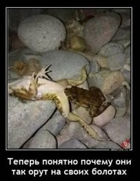 Демотиваторы на любой вкус 