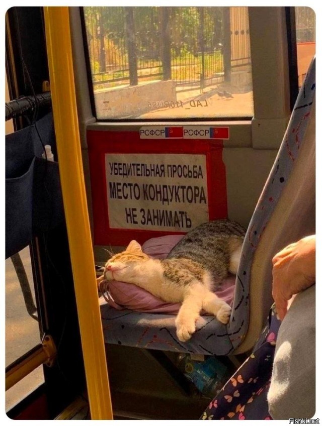 Солянка от 27.03.2025