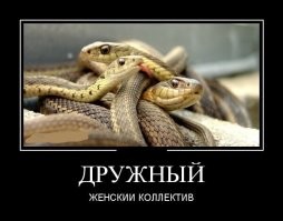 Женщина из Варшавы травила коллегу химикатами на протяжении нескольких месяцев
