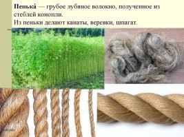 Наплести сказки про ...
