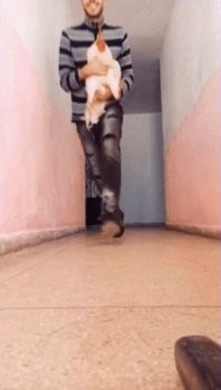 Паниковский?