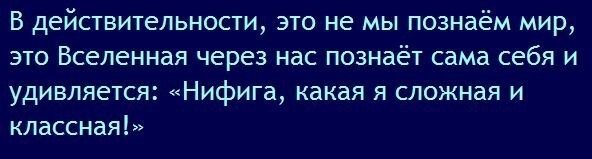 Загадка смысла жизни: пользователи попытались найти ответы на вечные вопросы и поделились мнениями о целях бытия