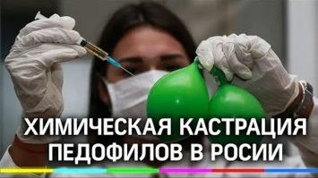 Это потенциальная опасность для детей. Ничем хорошим это не кончится. Скотину необходимо изолировать ну и ещё...